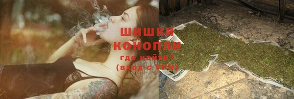 твердый Арсеньев