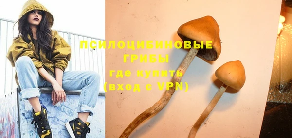 МДПВ Аркадак