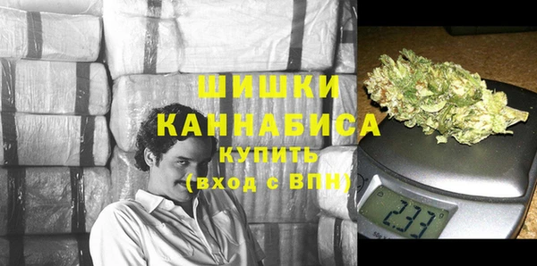 твердый Арсеньев
