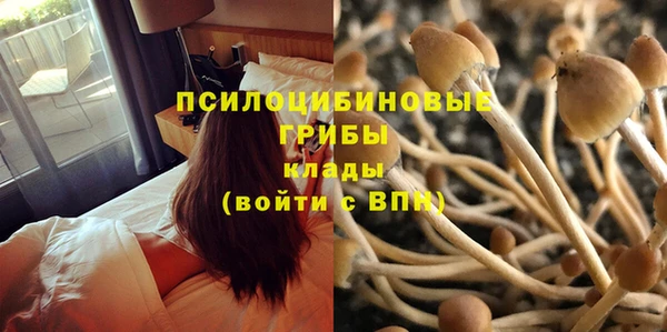 кокс Армянск