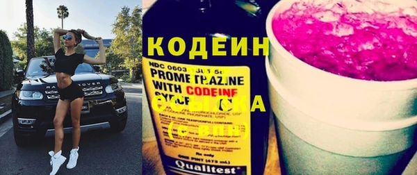 твердый Арсеньев