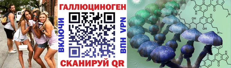 продажа наркотиков  Рошаль  Галлюциногенные грибы мухоморы 
