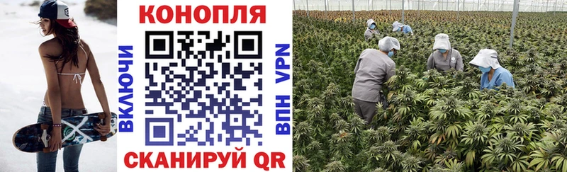 продажа наркотиков  кракен рабочий сайт  Бошки Шишки White Widow  Рошаль 